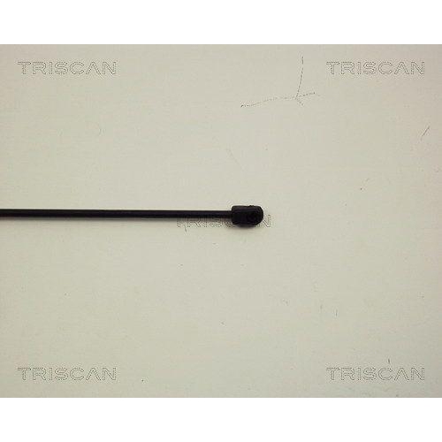 TRISCAN Gasfeder, Motorhaube