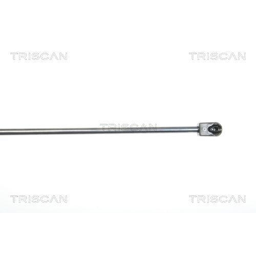 TRISCAN Gasfeder, Motorhaube