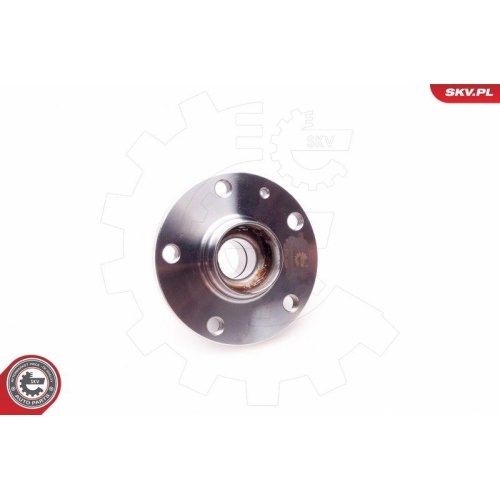 ESEN SKV Radlagersatz