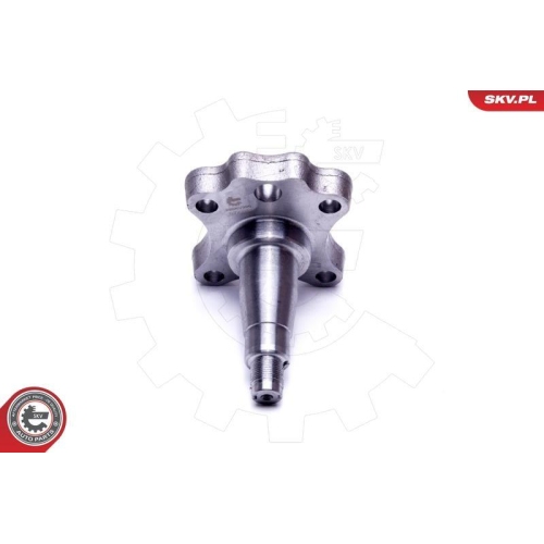 ESEN SKV Radlagersatz