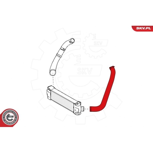 ESEN SKV Ladeluftschlauch