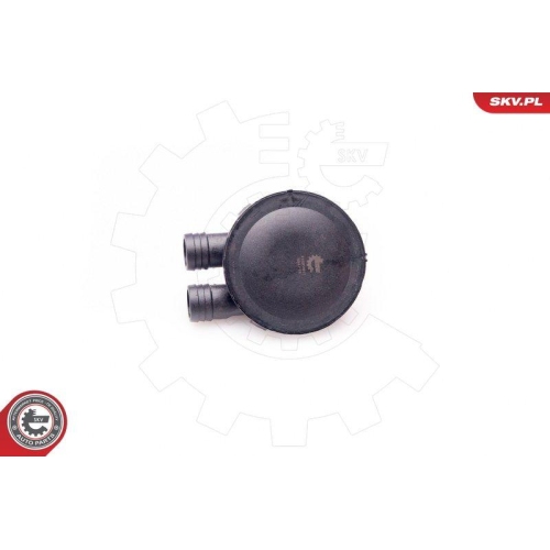 ESEN SKV Ventil, Kurbelgehäuseentlüftung