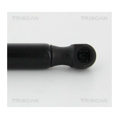 TRISCAN Gasfeder, Koffer-/Laderaum