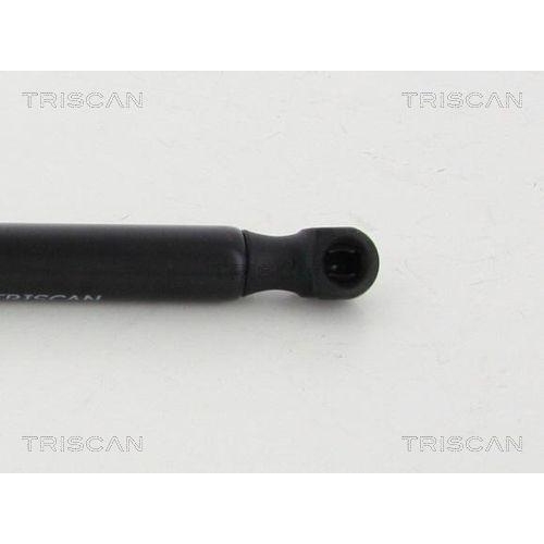 TRISCAN Gasfeder, Koffer-/Laderaum