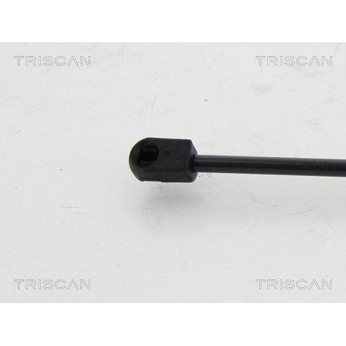 TRISCAN Gasfeder, Koffer-/Laderaum