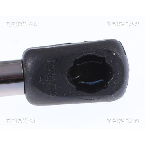 TRISCAN Gasfeder, Koffer-/Laderaum