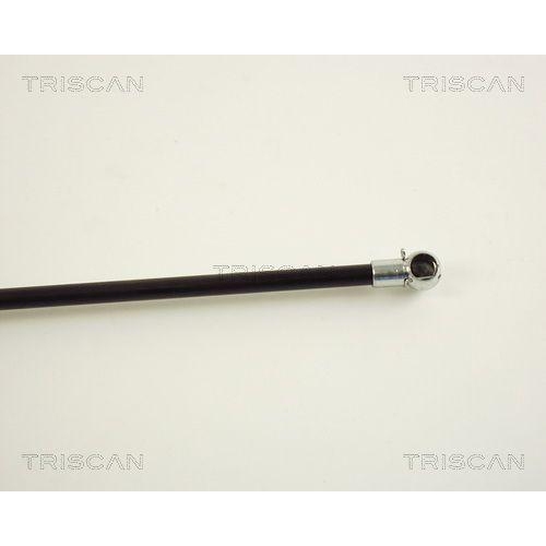 TRISCAN Gasfeder, Koffer-/Laderaum