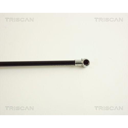TRISCAN Gasfeder, Koffer-/Laderaum