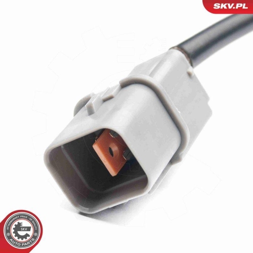 ESEN SKV Lambdasonde