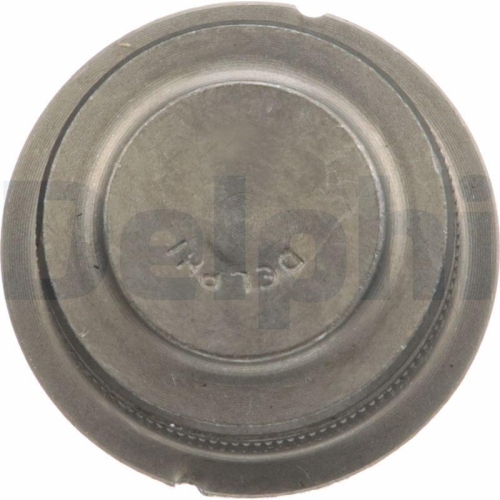 DELPHI Trag-/F&uuml;hrungsgelenk