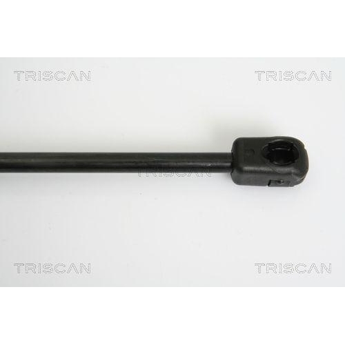 TRISCAN Gasfeder, Koffer-/Laderaum