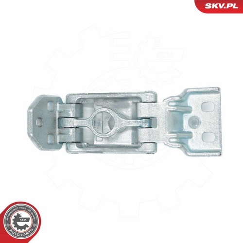 ESEN SKV Türscharnier