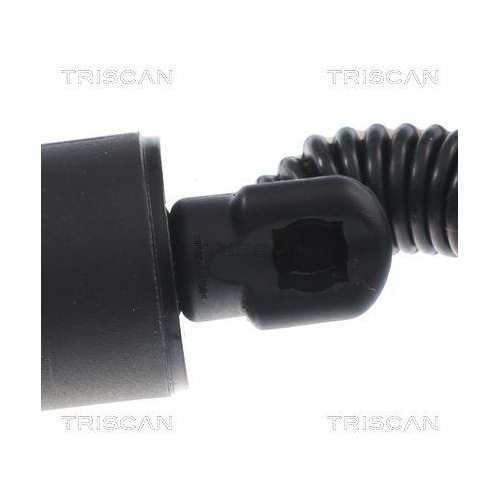 TRISCAN Gasfeder, Koffer-/Laderaum