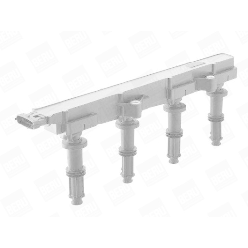 BorgWarner (BERU) Z&uuml;ndspule