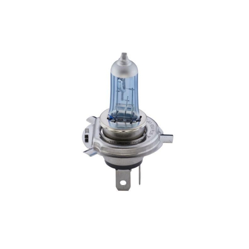 BOSCH Glühlampe, Fernscheinwerfer Plus 90 DBL