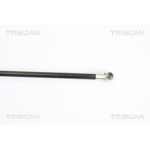 TRISCAN Gasfeder, Koffer-/Laderaum