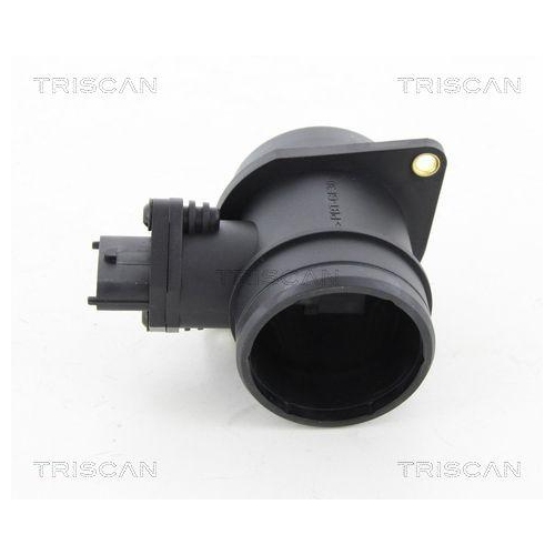 TRISCAN Luftmassenmesser