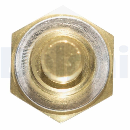 DELPHI Sensor, Kühlmitteltemperatur