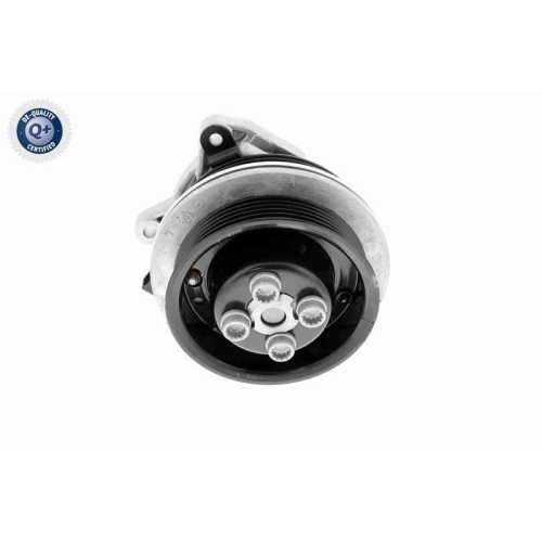 VAICO Wasserpumpe, Motork&uuml;hlung Q+, Erstausr&uuml;sterqualit&auml;t