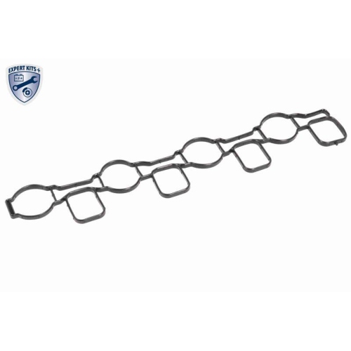 VAICO Saugrohrmodul EXPERT KITS +