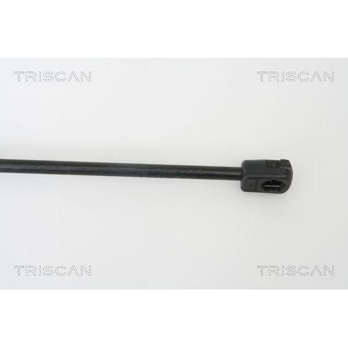 TRISCAN Gasfeder, Koffer-/Laderaum