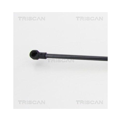 TRISCAN Gasfeder, Koffer-/Laderaum