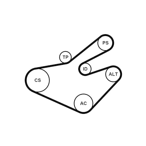 CONTINENTAL CTAM Keilrippenriemensatz
