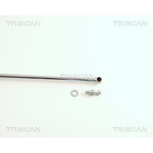 TRISCAN Gasfeder, Koffer-/Laderaum