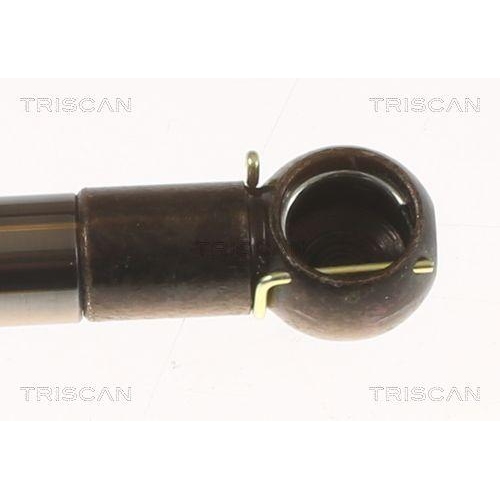 TRISCAN Gasfeder, Koffer-/Laderaum