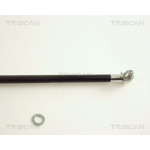 TRISCAN Gasfeder, Koffer-/Laderaum