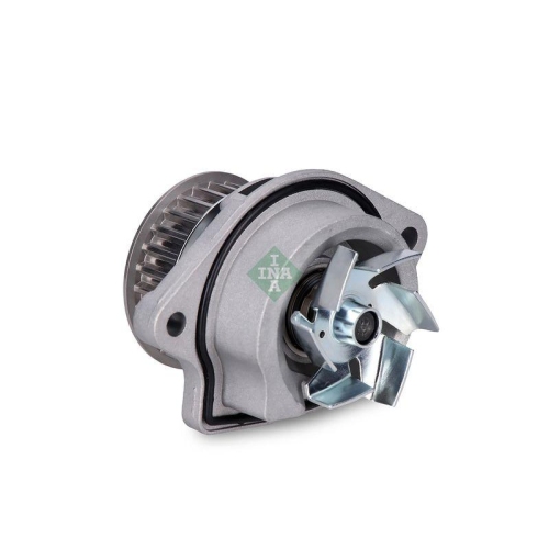 Schaeffler INA Wasserpumpe, Motorkühlung