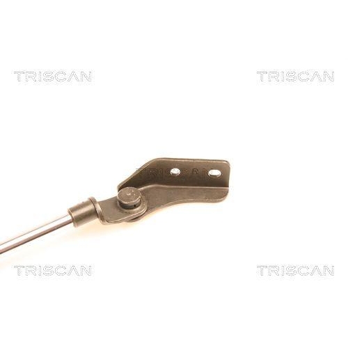 TRISCAN Gasfeder, Koffer-/Laderaum