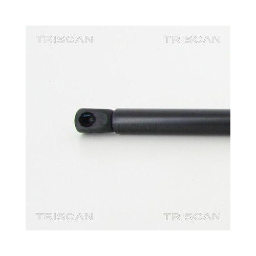 TRISCAN Gasfeder, Koffer-/Laderaum