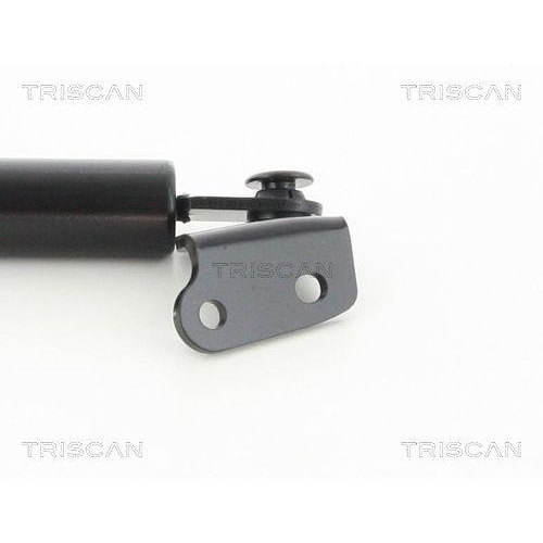 TRISCAN Gasfeder, Koffer-/Laderaum