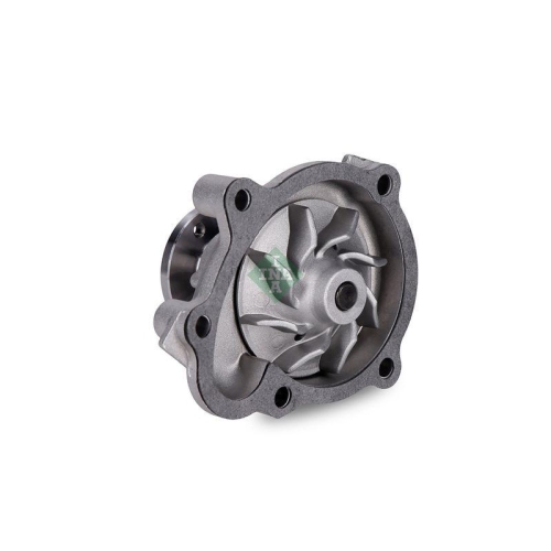 Schaeffler INA Wasserpumpe, Motorkühlung