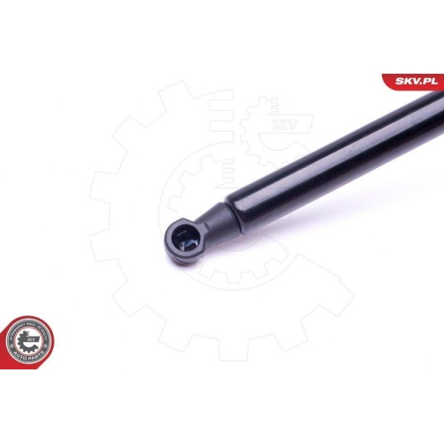 ESEN SKV Gasfeder, Koffer-/Laderaum