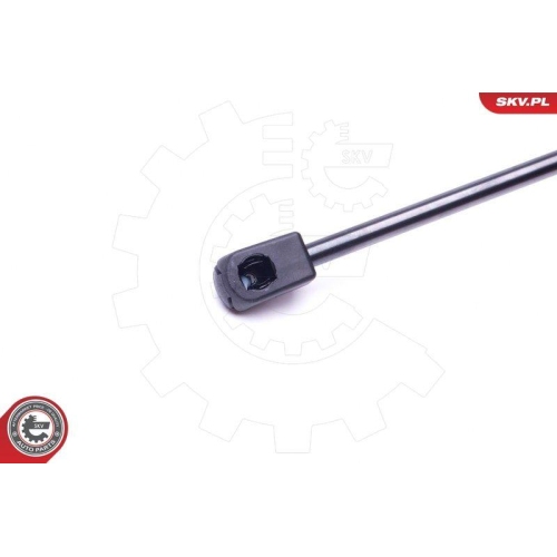 ESEN SKV Gasfeder, Koffer-/Laderaum