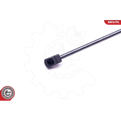 ESEN SKV Gasfeder, Koffer-/Laderaum