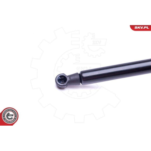 ESEN SKV Gasfeder, Koffer-/Laderaum