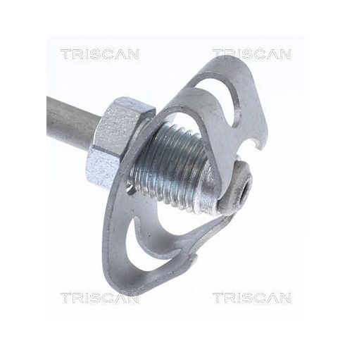 TRISCAN Bremsschlauch
