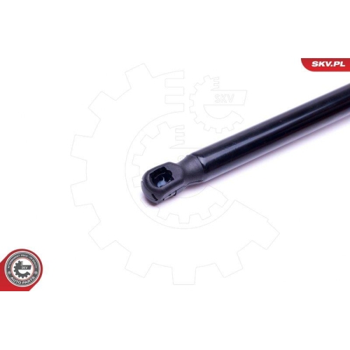 ESEN SKV Gasfeder, Koffer-/Laderaum