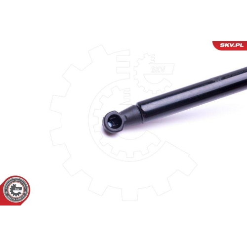 ESEN SKV Gasfeder, Koffer-/Laderaum