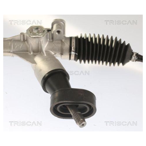TRISCAN Lenkgetriebe