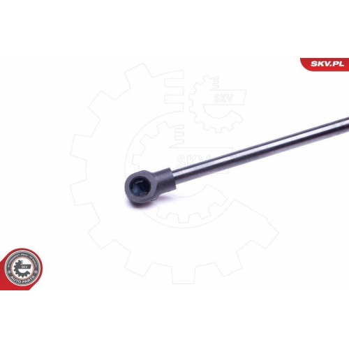 ESEN SKV Gasfeder, Koffer-/Laderaum