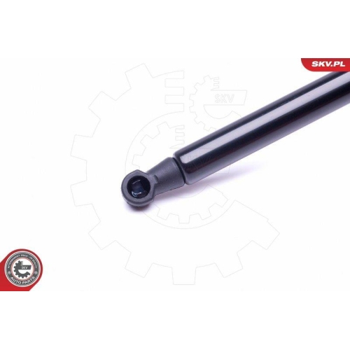 ESEN SKV Gasfeder, Koffer-/Laderaum