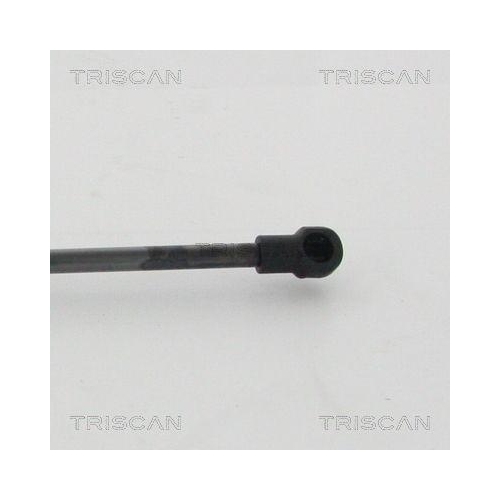 TRISCAN Gasfeder, Koffer-/Laderaum