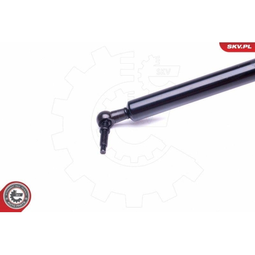 ESEN SKV Gasfeder, Koffer-/Laderaum