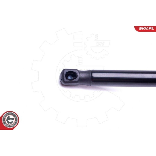 ESEN SKV Gasfeder, Koffer-/Laderaum