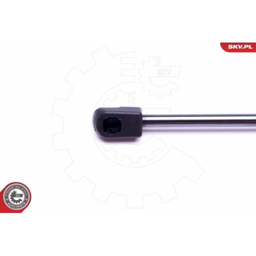 ESEN SKV Gasfeder, Koffer-/Laderaum