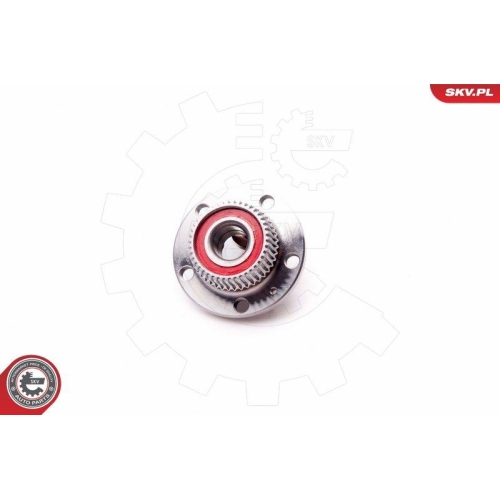 ESEN SKV Radlagersatz